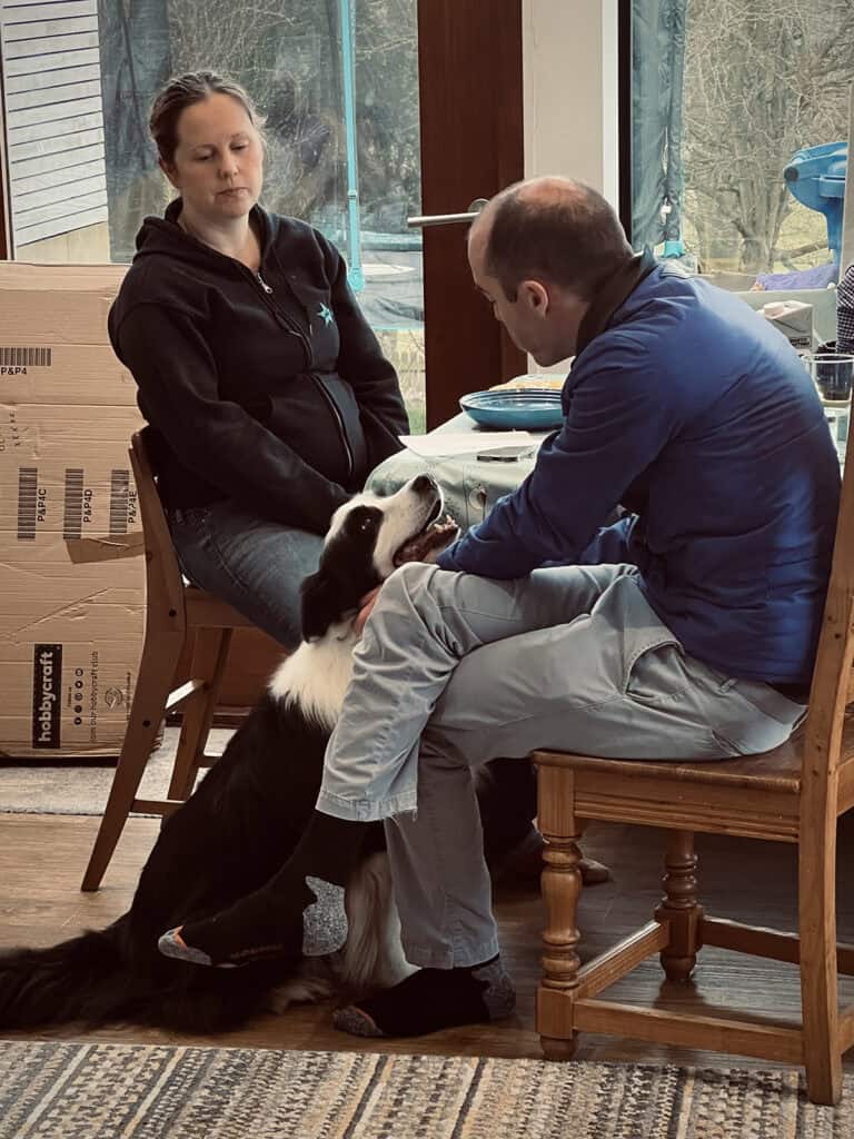 Dog behaviour consultation showing a trainer working with a border collie and owner at home