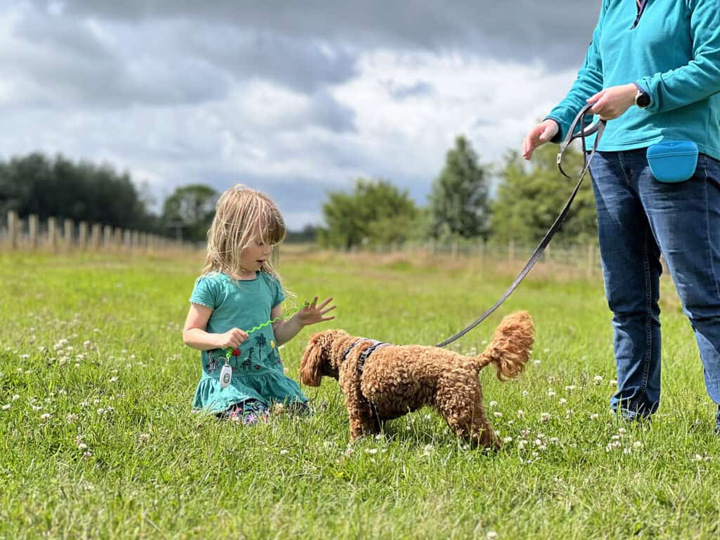 Young child practicing calm interactions with a small dog during positive reinforcement training in a grassy field